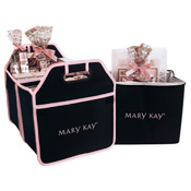 Trunk Organizer with Insulated Case